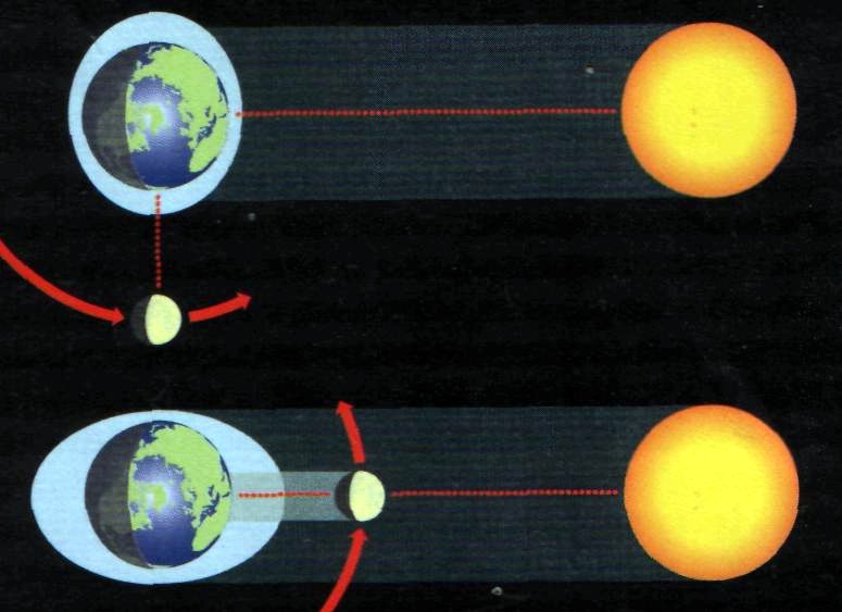 Квадратурные и сизигийные приливы Вверху Солнце и Луна расположены по отношению к Земле под углом 90°, поэтому происходит малый (квадратурный) прилив. Внизу Солнце и Луна выстроились в одну линию, и их совместное притяжение вызывает максимальный (сизигийный) прилив. 
