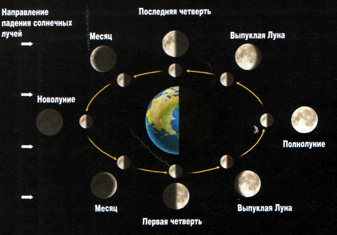 Все фазы луны по порядку в картинках